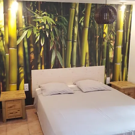 Front De Mer, Argeles Plage, Vue Exceptionnelle