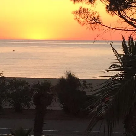 Appartement Front De Mer, Argeles Plage, Vue Exceptionnelle Plage dʼArgelès