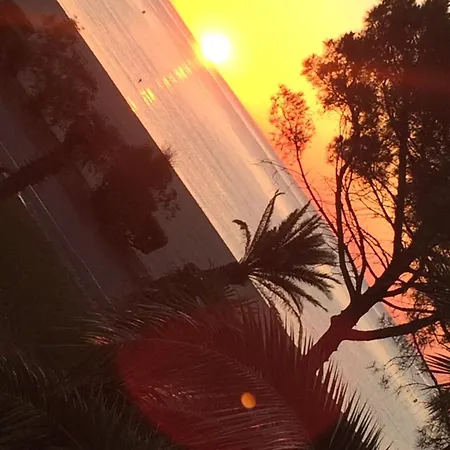 Front De Mer, Argeles Plage, Vue Exceptionnelle * Plage dʼArgelès