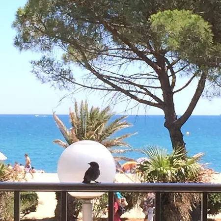 Front De Mer, Argeles Plage, Vue Exceptionnelle Plage d'Argeles
