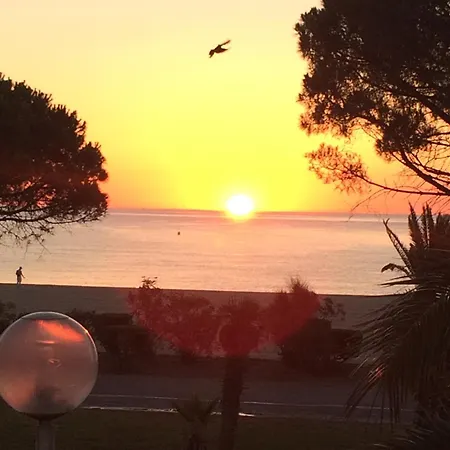 Apartment Front De Mer, Argeles Plage, Vue Exceptionnelle Plage d'Argeles