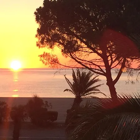 Front De Mer, Argeles Plage, Vue Exceptionnelle