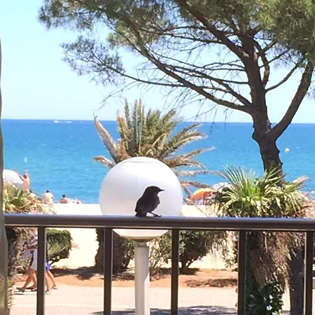 Front De Mer, Argeles Plage, Vue Exceptionnelle * Plage d'Argeles